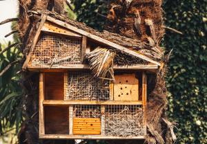 Insekthotell med mange avdelinger.