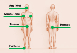 Skjematisk tegning av kroppen merket med med punkter å vaske godt.