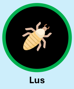 Til: Lus